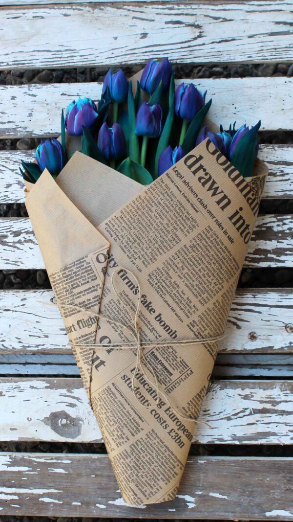 anthodesmi_double_bubble_toulipes_a