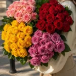 floraison_anthodesmi_triantafylla_ketnriki
