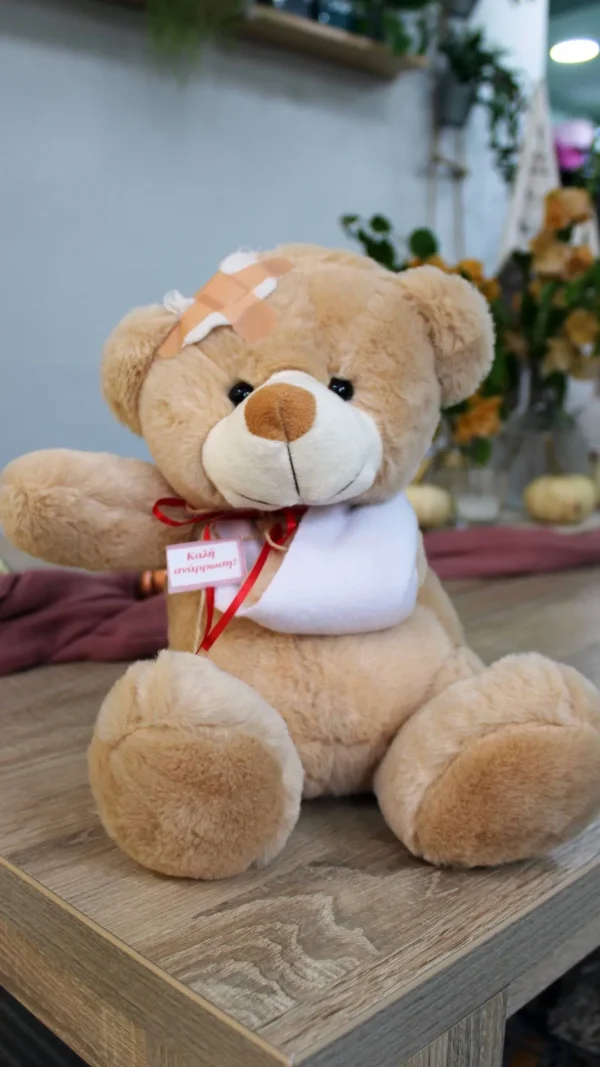 floraison_get_well_teddy_bear
