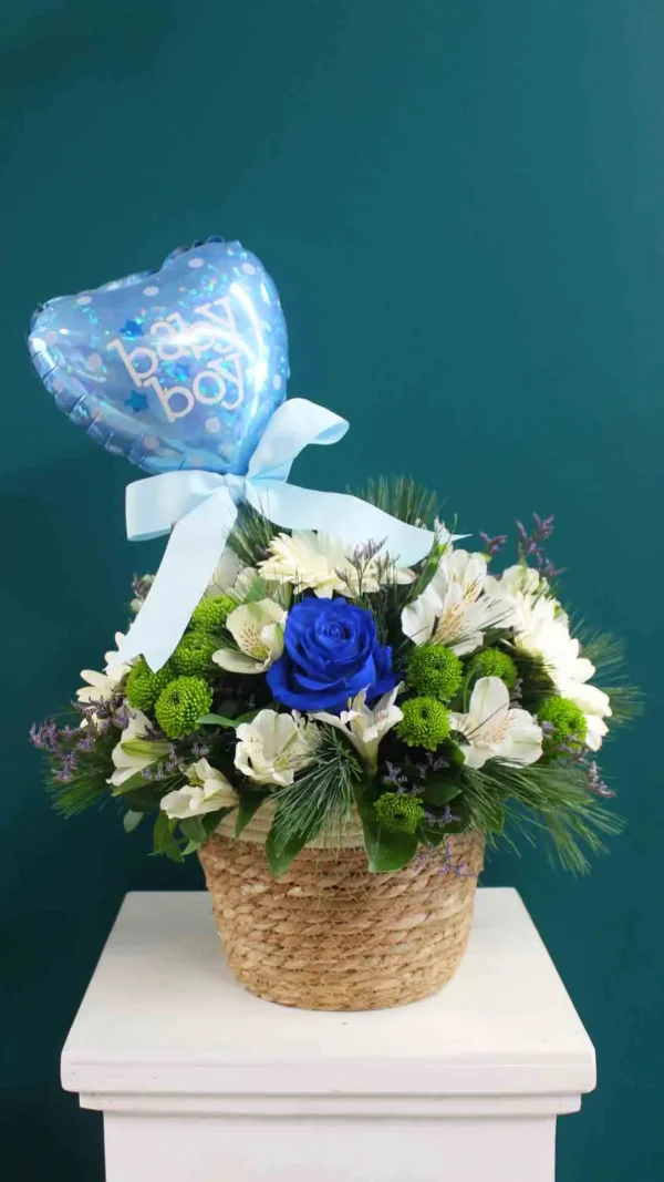 floraison_kalathi_gia_agori_a