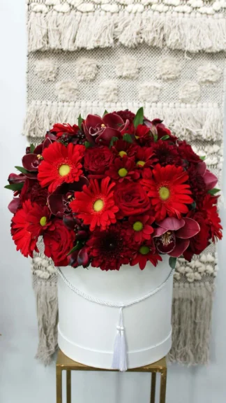 floraison_kapeliera_kokkina_louloudia_a