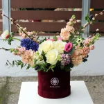 floraison_louloudia_se_mpornto_kouti_new_a-1