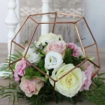 floraison_loyloydia_se_poligono_metalliko_b