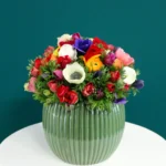 floraison_neragkoules_anemones_se_sfaira_a