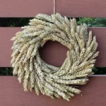 floraison_stefani_staxia_fisika_a