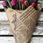 floraison_anthodesmi_double_rainbow_tulips_a