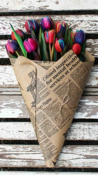 floraison_anthodesmi_double_rainbow_tulips_a