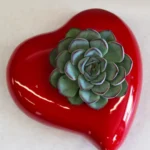 floraison_exeveria_se_keramiki_kardia_a