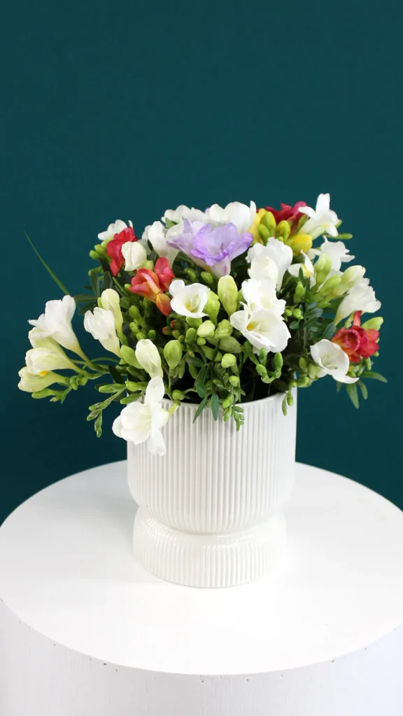 floraison_frezies_se_leuko_pot_a