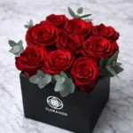 floraison_kokkina_triantafylla_se_mayro_kouti_a