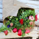 floraison_matso_anemwnes_new_a