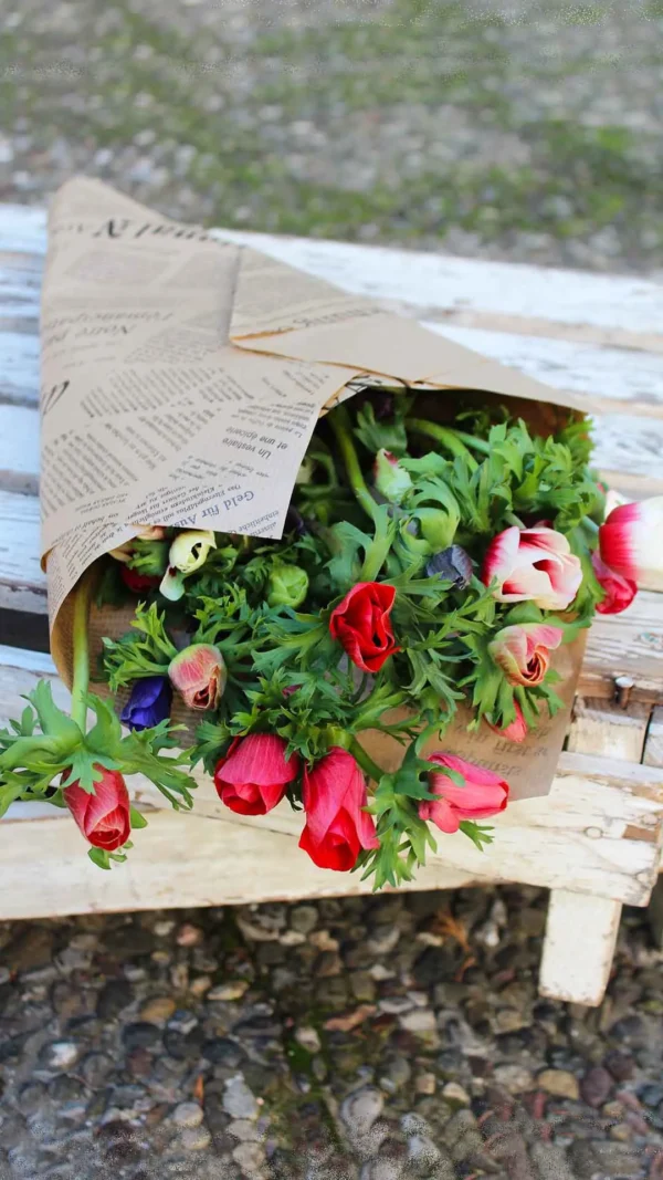 floraison_matso_anemwnes_new_a