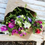 floraison_matso_frezies_new_a