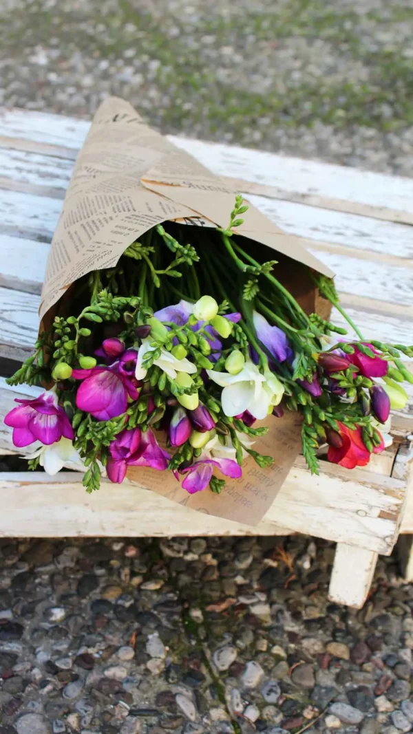 floraison_matso_frezies_new_a