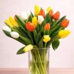 floraison_mpouketo_30_toulipes_leuko_kitrino_portokali_a