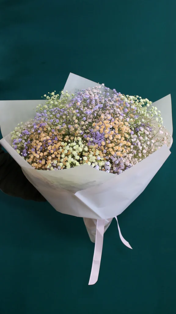 floraison_pastel_rainbow_gypsofila_d