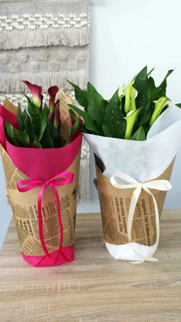 floraison_calla_lilly_kraft_a