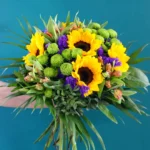 floraison_ilianthoi_kai_xromata_a