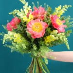 floraison_paionies_kai_skylakia_a